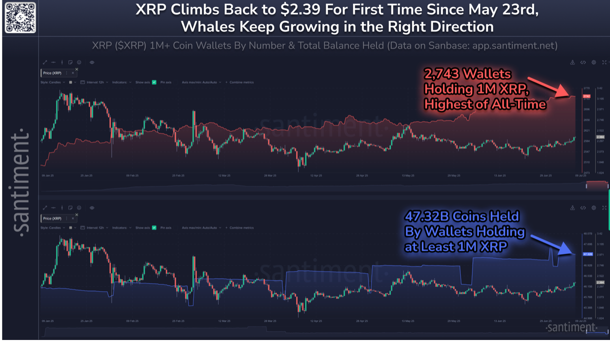 博森科技）XRP的“非常积极的信号”-随着价格上涨10%，鲸鱼飙升至新高